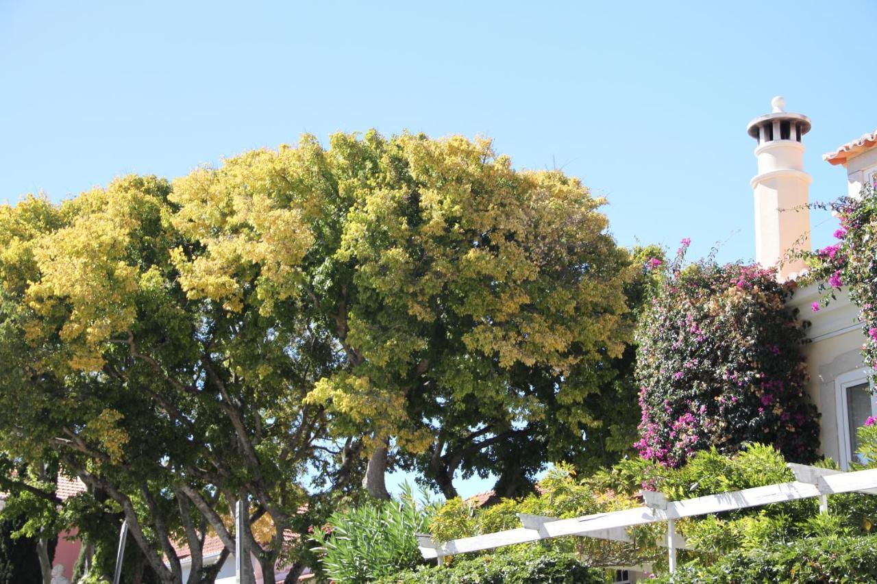 Ninho Salino Hotell Cascais Exteriör bild
