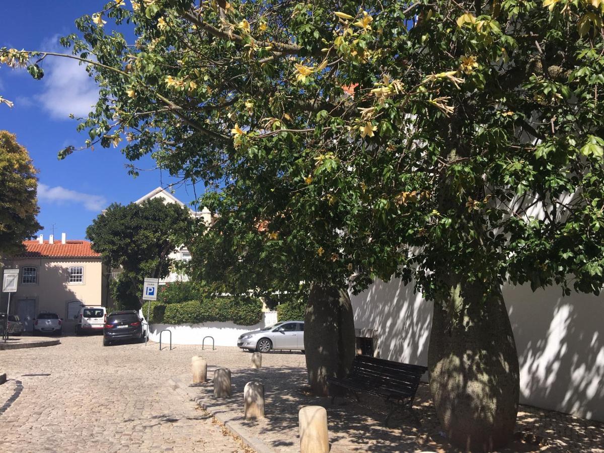 Ninho Salino Hotell Cascais Exteriör bild