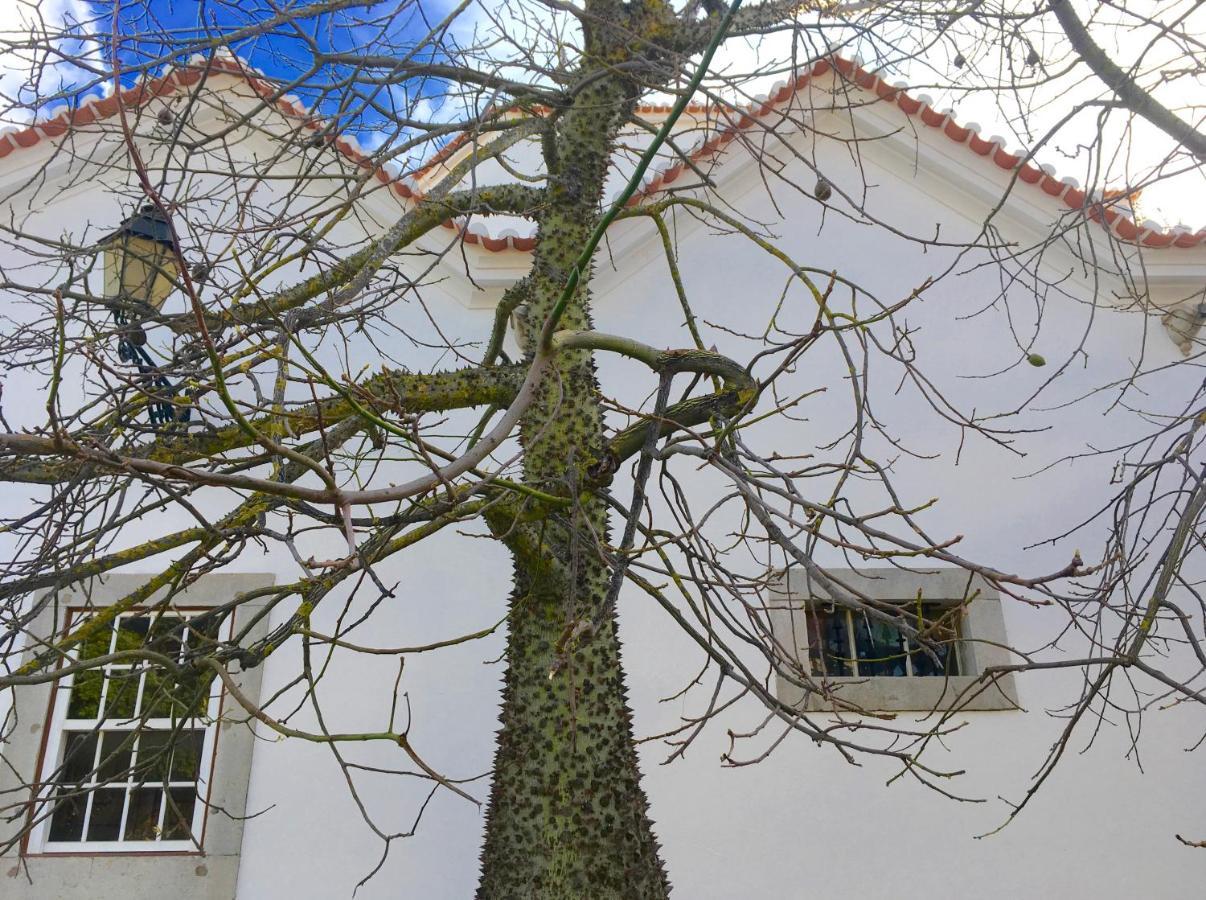 Ninho Salino Hotell Cascais Exteriör bild